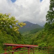 橋の赤と樹々の緑が美しい