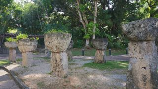 写真撮りに行きました