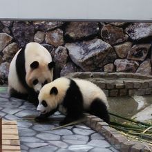 15時ごろの彩浜とお母さん