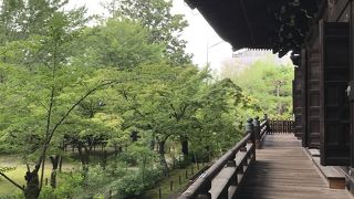 青紅葉の時期は紫陽花がきれいです