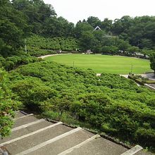 公園の様子