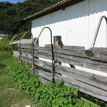 シャワーもありました