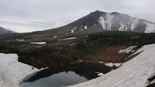 ６つの展望台で休みながら、高山植物を楽しめる