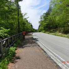 八ヶ岳高原ライン