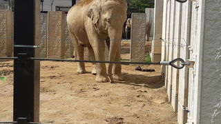 ゆっくり見てまわれます