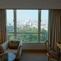 公園が見えました