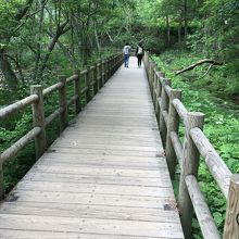 遊歩道