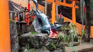 ダイナミックな狐様が