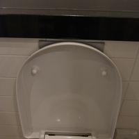 水洗ボタンは蓋を持たないと押せない