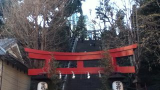 石段とエレベータのルートがある