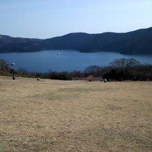 富士芦ノ湖パノラマパーク ゆり園