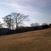 ドッグランのために箱根園 富士芦ノ湖パノラマパーク By Mtatsu 富士芦ノ湖パノラマパーク ゆり園のクチコミ フォートラベル