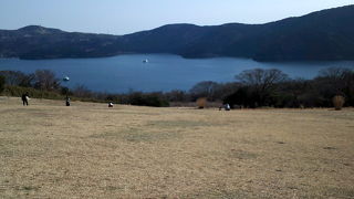 富士芦ノ湖パノラマパーク ゆり園