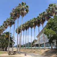 南国のリゾートに来たみたい