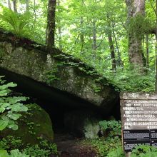 英語、韓国語、中国語、台湾語の説明も有ります