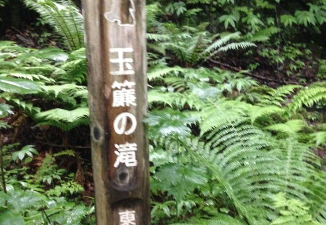 遊歩道に沿ってないのが残念でがちょっと変わった滝ですよ