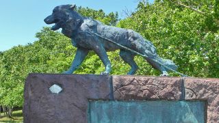 タロやジロも供養されていた