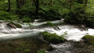 雨の後は緑が綺麗です