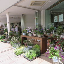 フラワーショップ