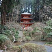 コンパクトにまとまった境内が美しいお寺