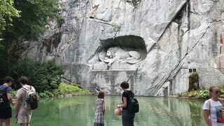 想像以上に大きなライオンの姿