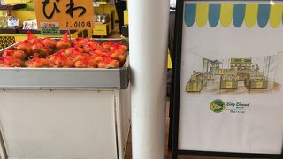 珍しいクジラの缶詰もありました