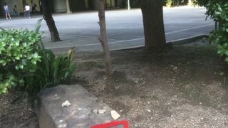 子供の遊戯施設あり