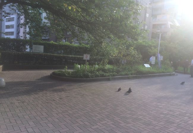 楓川新富橋公園 クチコミ アクセス 営業時間 銀座 有楽町 日比谷 フォートラベル 楓川新富橋公園 クチコミ アクセス 営業時間 銀座 有楽町 日比谷 フォートラベル