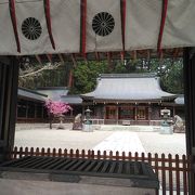 桜の時期の神社