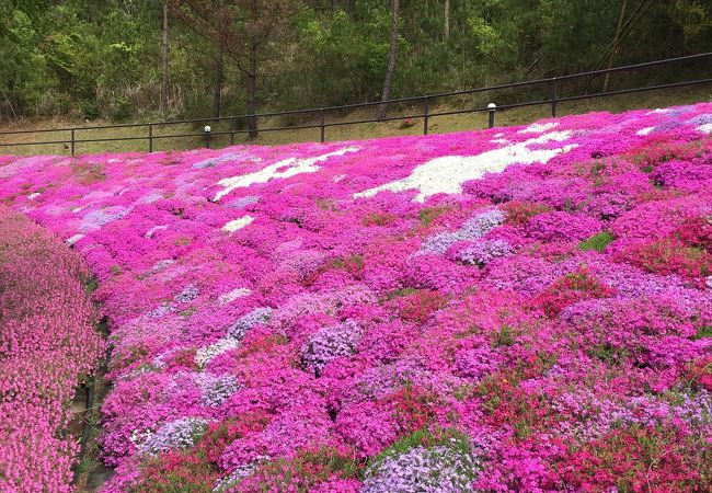 西脇市日本のへそ日時計の丘公園フォルクスガーデン クチコミ アクセス 営業時間 多可 西脇 加東 フォートラベル