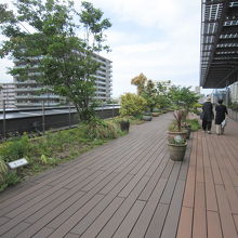 ８　４Fみどりの広場