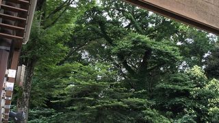 明治神宮西門手前