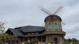 リド アトプータス ツェントゥルス