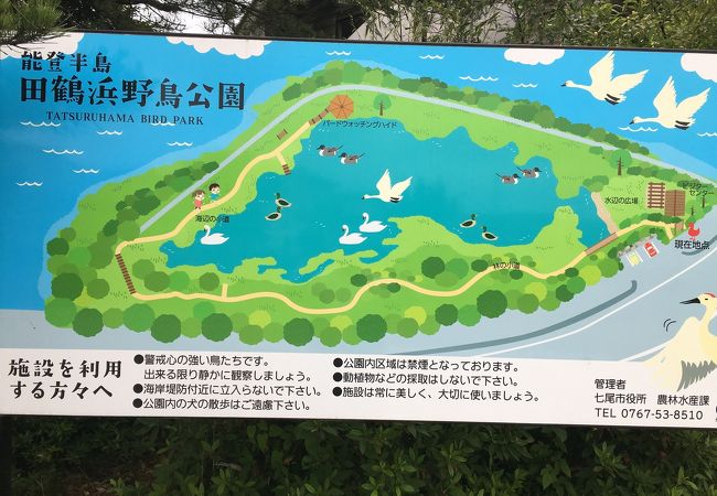 田鶴浜野鳥公園