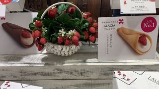 午前中がオススメ