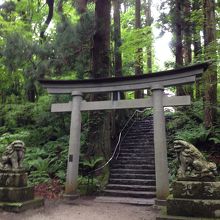 この階段の先に有るのが本殿です