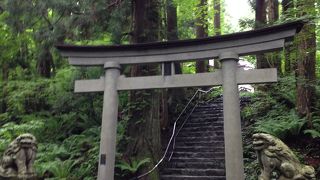 とても歴史の有る神社です