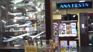 モデルプレーン