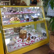 見本ばかりのショーケース？