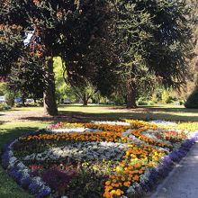 綺麗な花壇