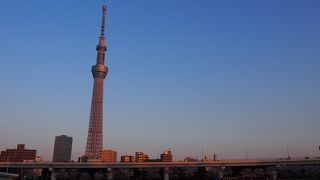 見どころがたくさん