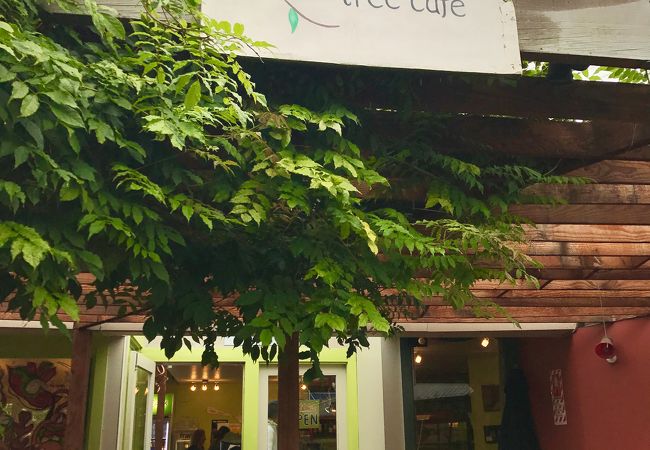 オリーブ ツリー カフェ