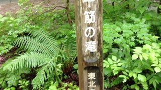 奥入瀬渓流の一番下流に有る滝