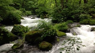 渓流の中の日本庭園の様に見えます