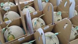 待望マスクメロン販売中