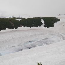 少しずつ池の水面が見えてきている。