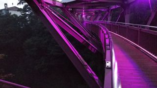 ライトアップが素敵です