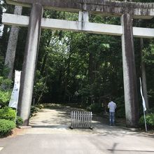 ここから参道です