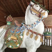 御神馬がいました。