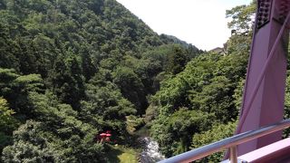 遊歩道はちょうど良い散歩コースです